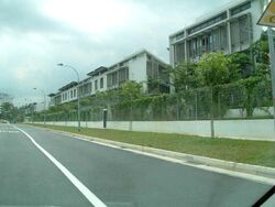 The Teneriffe (D10), Terrace #424274231